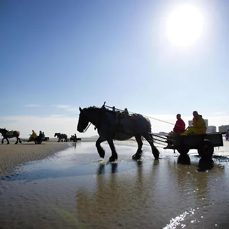 Lägenhet Bright In Nieuwpoort, Cleaning Included *