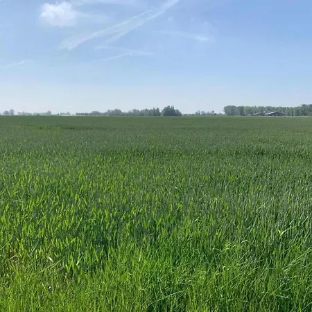 Bright In Nieuwpoort, Cleaning Included Διαμέρισμα